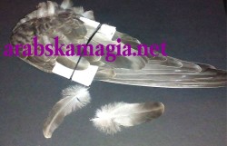 Ритуал за неотлъчна любов и зависимост